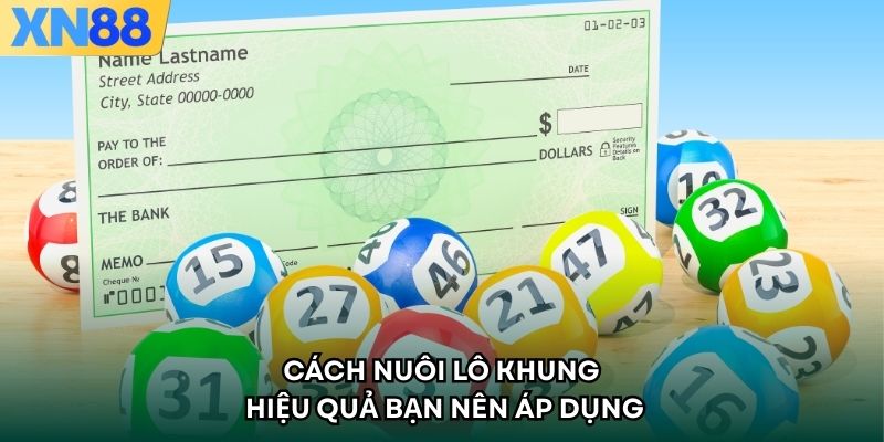 Cách nuôi lô khung hiệu quả bạn nên áp dụng