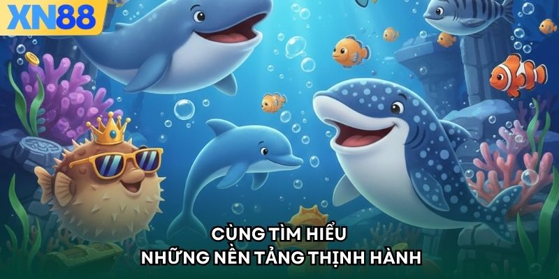 Cùng tìm hiểu những nền tảng thịnh hành