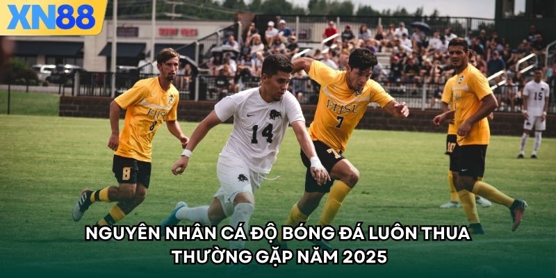 Nguyên Nhân Cá Độ Bóng Đá Luôn Thua Thường Gặp Năm 2025