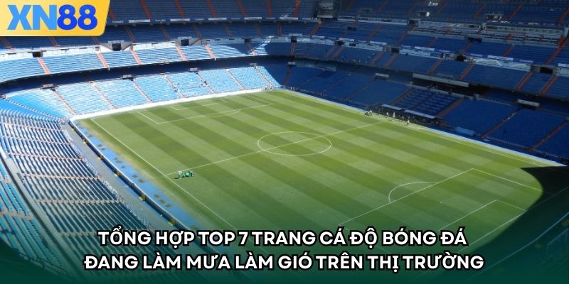 Tổng hợp Top 7 trang cá độ bóng đá đang làm mưa làm gió trên thị trường